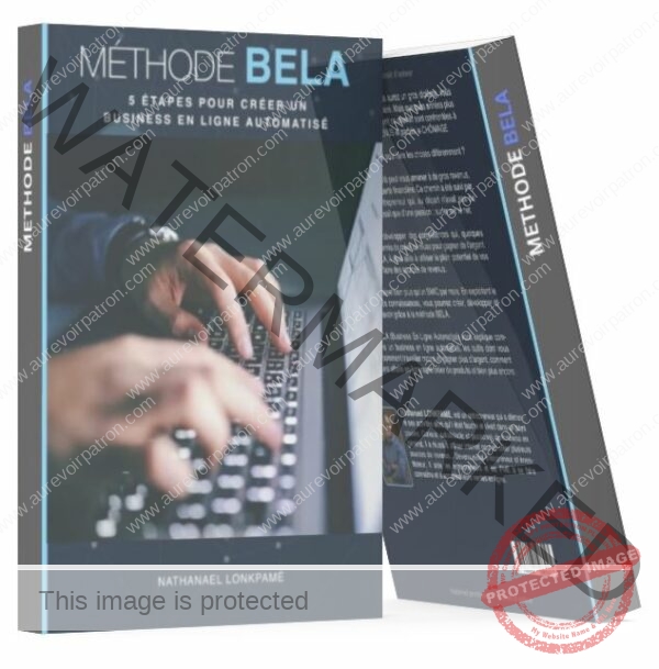 Méthode BELA : 5 étapes pour créer un business en ligne automatisé – Image 7